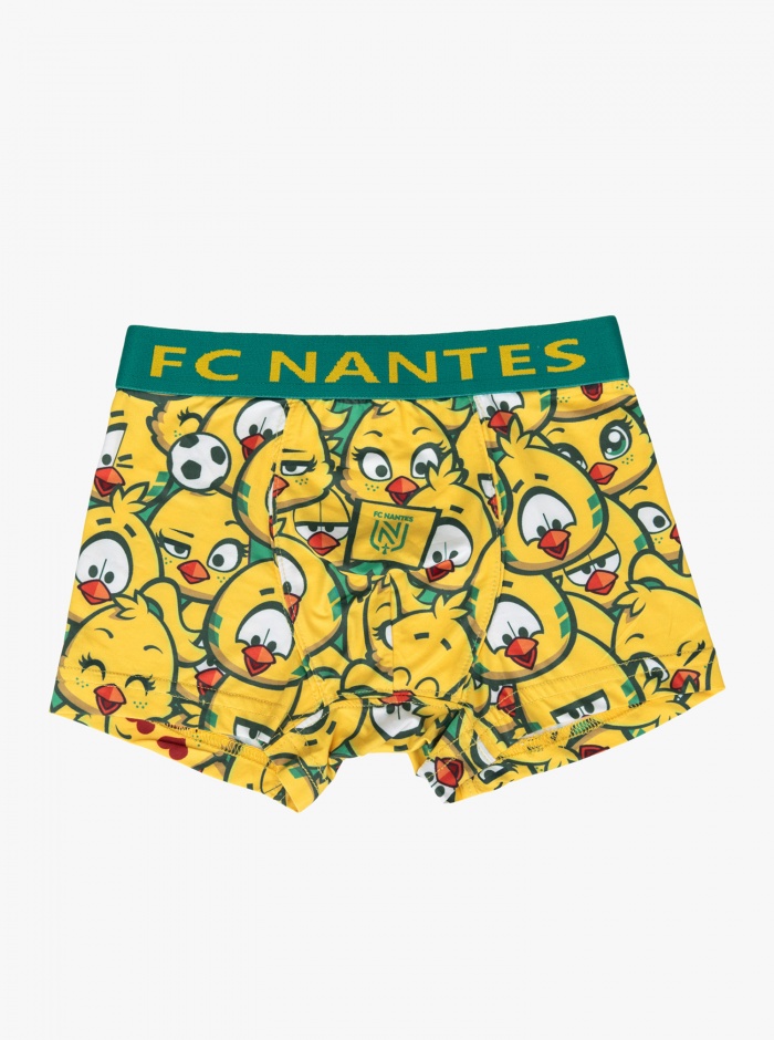 Boxer Mascottes Junior