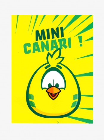 Carte Postale Naissance Petit Canari