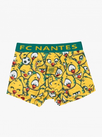 Boxer Mascottes Junior