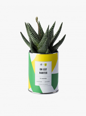 Plante Grasse FC Nantes x AY Cactus