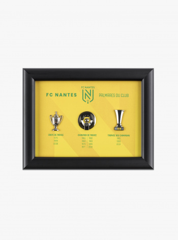 Cadre Palmares FC Nantes