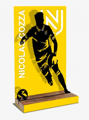 3 - Nicolas COZZA