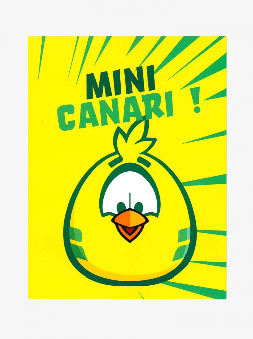 Carte Postale Naissance Petit Canari