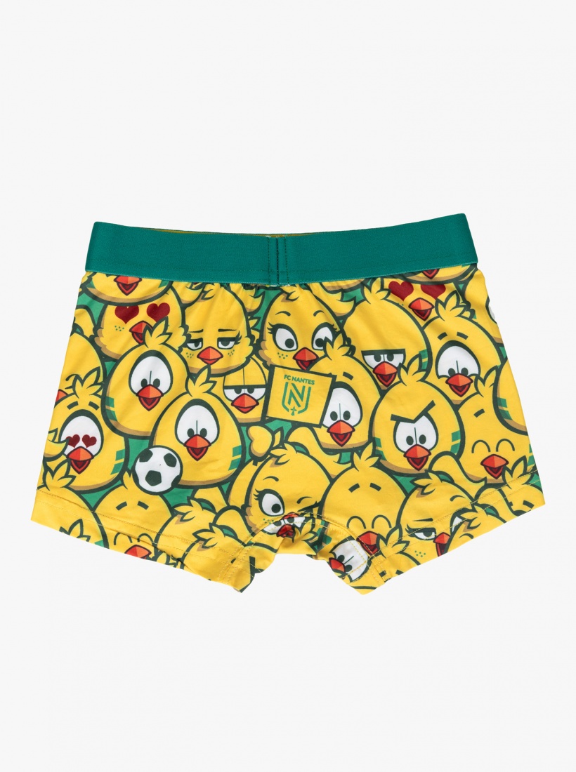 Boxer Mascottes Junior