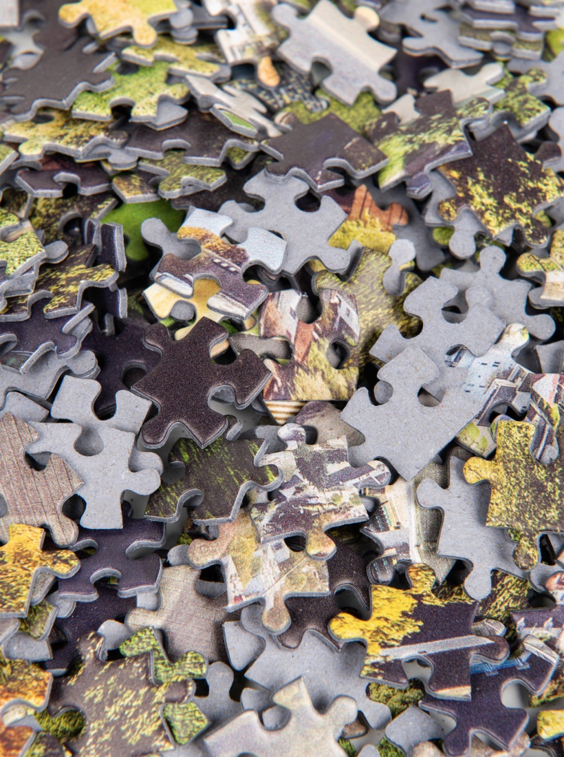 Puzzle La Beaujoire 1000 pièces